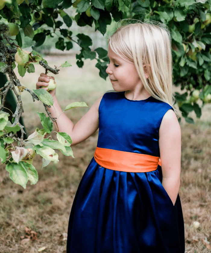 Katya Amelia Dress - Navy Blue | Dawn Clarke Designs